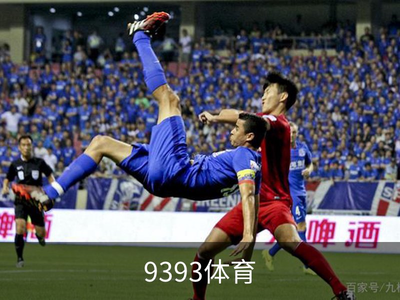 9393体育-专业体育投注平台